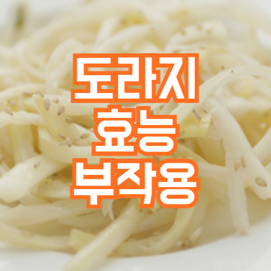 도라지 효능, 면역력이 떨어졌다면!?