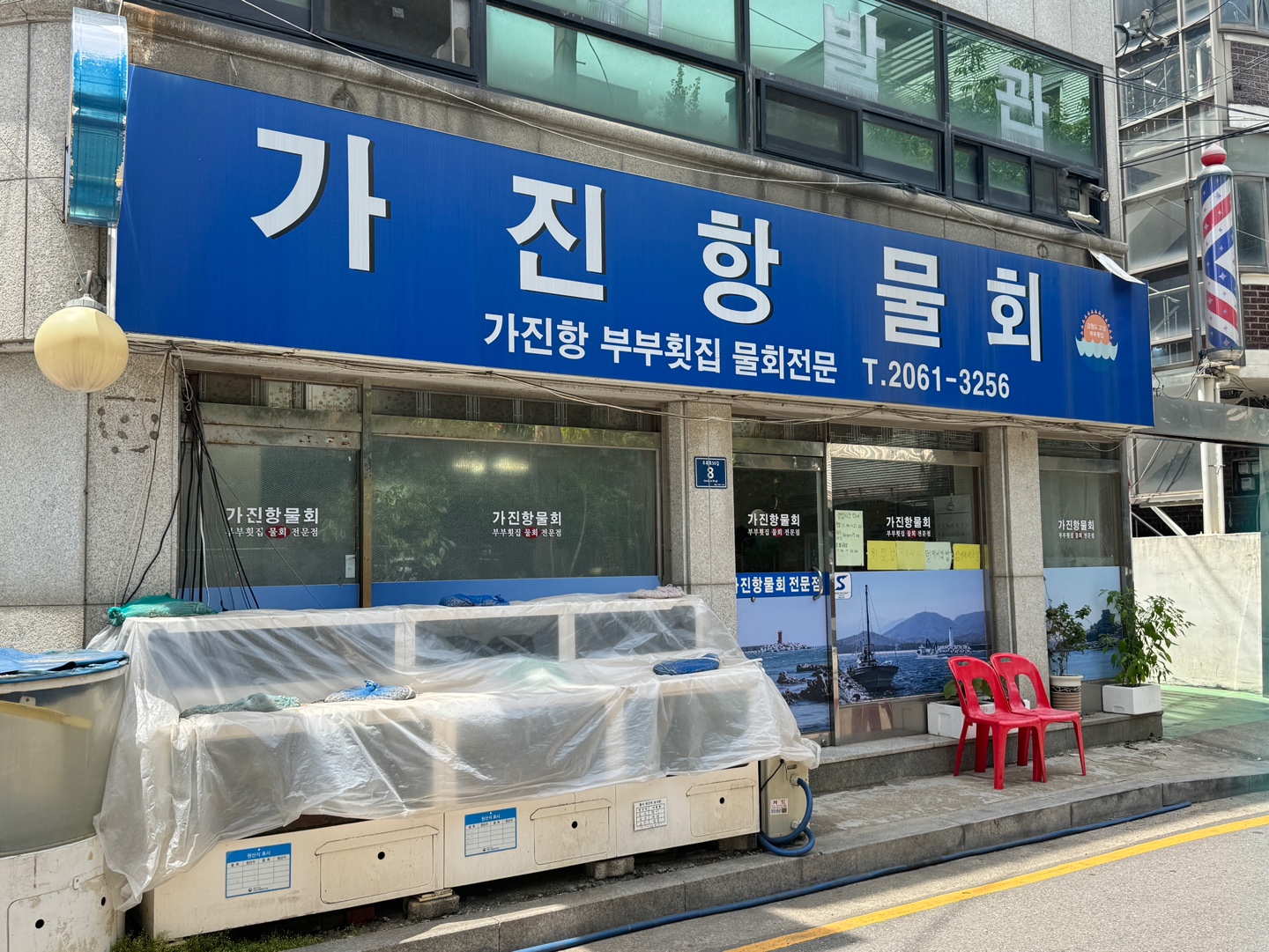 가진항물회