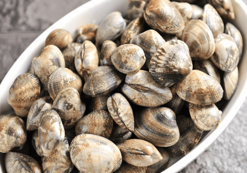 바지락보관방법