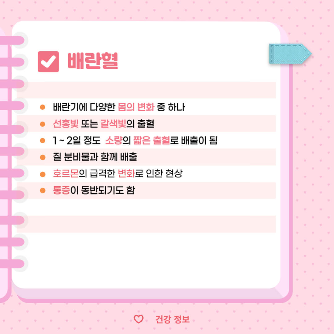 하혈 부정출혈 이유