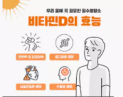 비타민D-사진5