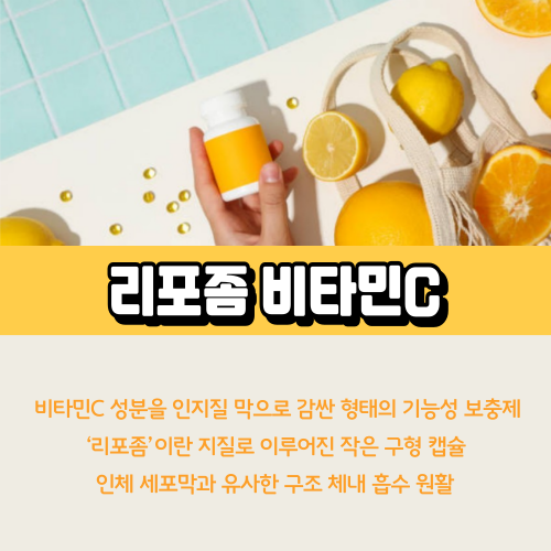 리포좀비타민C