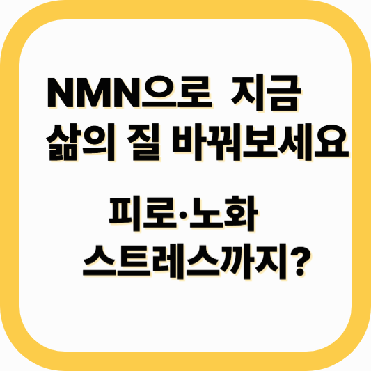 NMN 영양제 효과