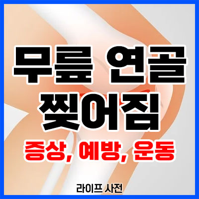 무릎 연골 찢어짐