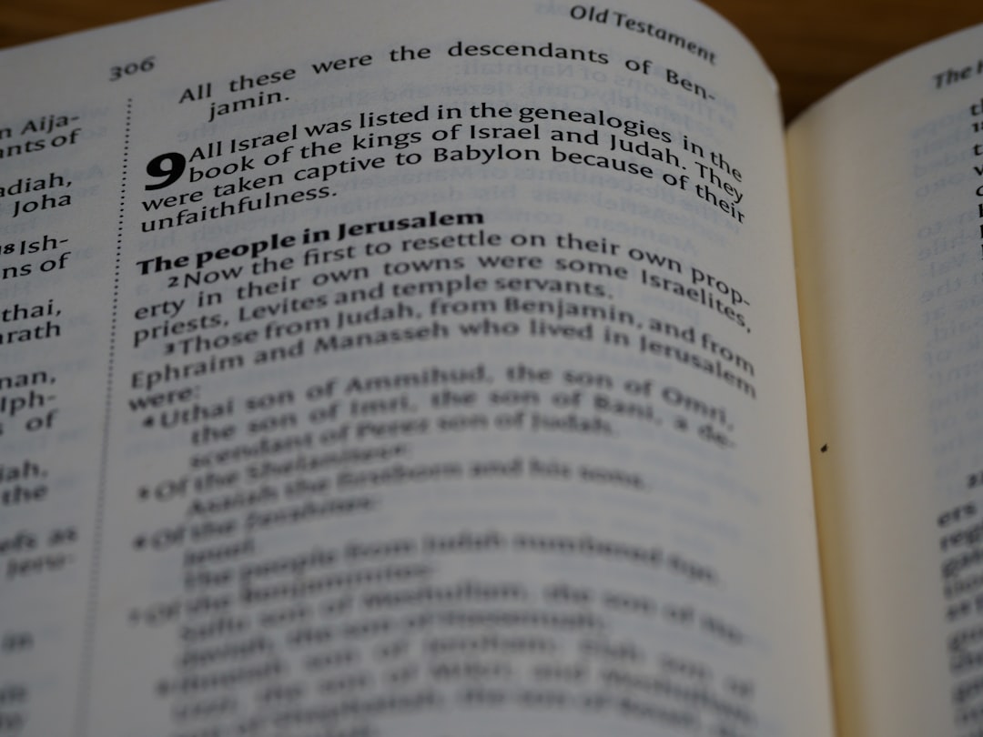 'ORT'에서 가장 중요한 명사는 'Opportunity'입니다.