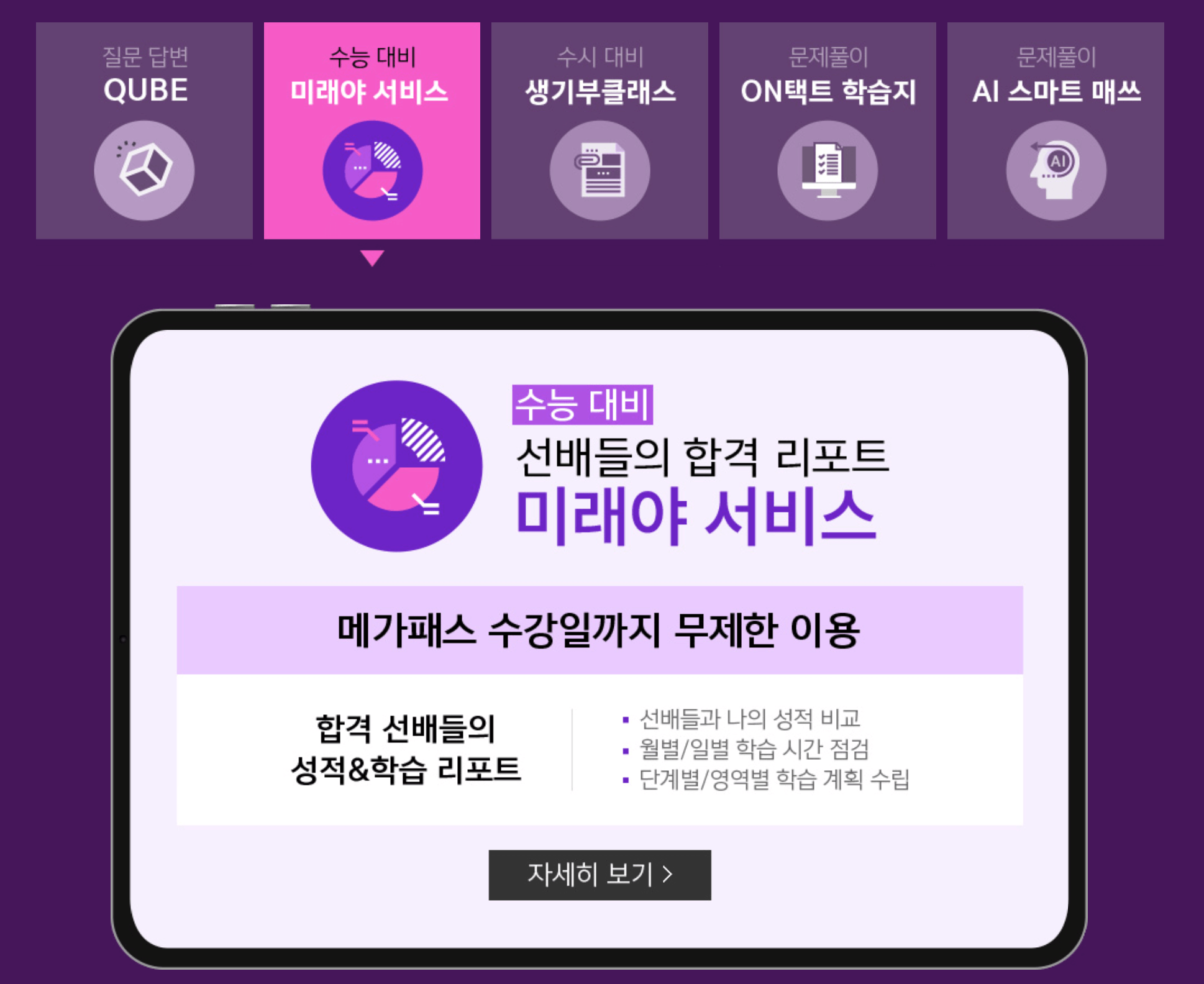 메가패스 미래야