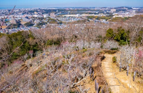 오대산 국립공원 실시간 cctv
