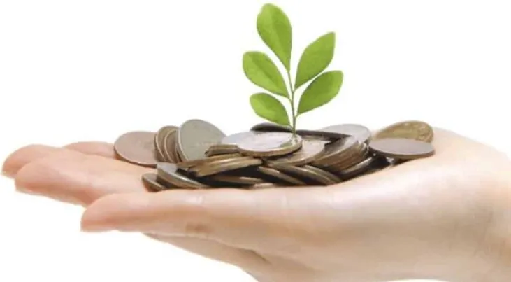 손에 올려진 동전들 속 피어난 새싹