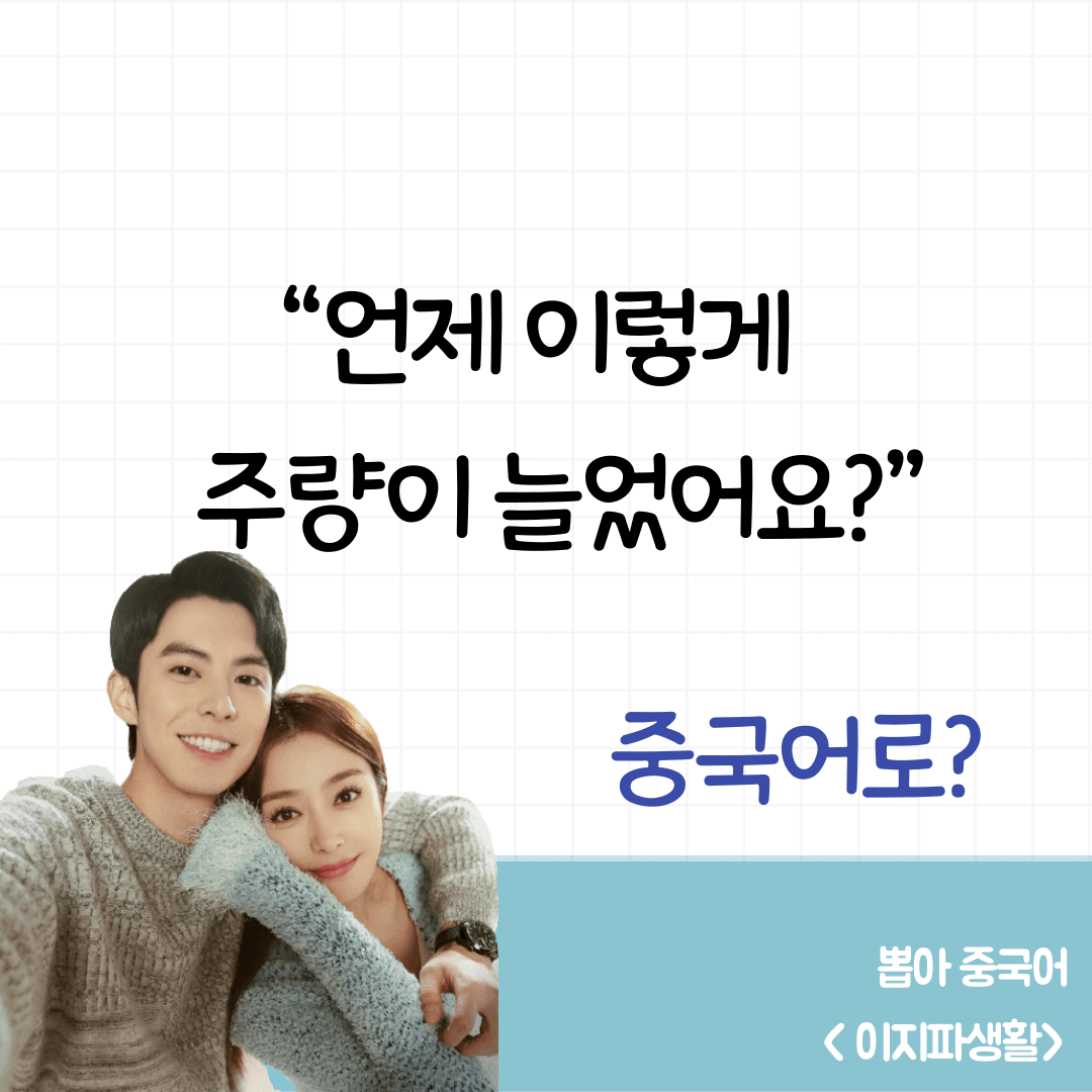 이지파생활