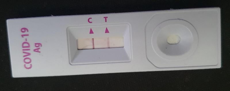 코로나 자가진단키트, 두줄 확진 결과 모습, 돌파감염