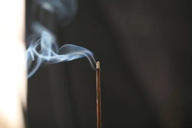 추석-성묘-향