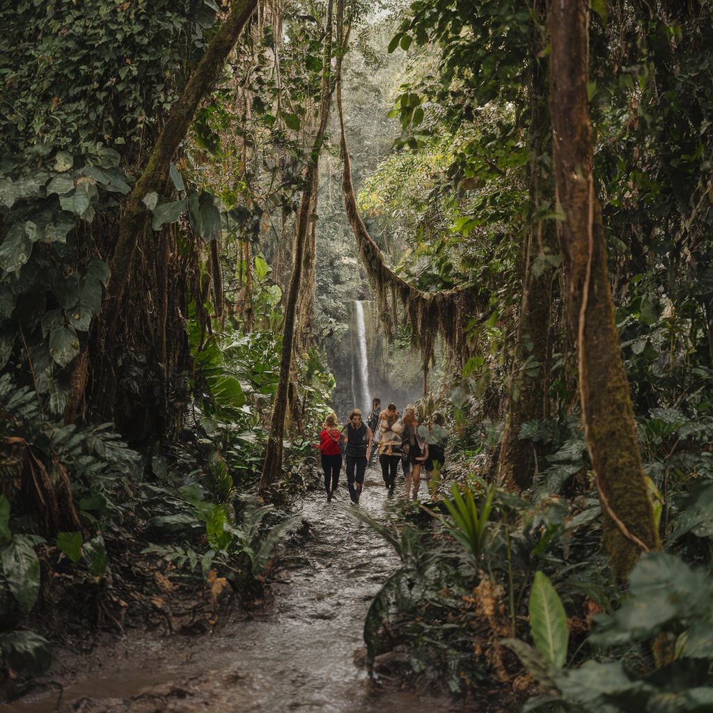 남미 정글 탐험