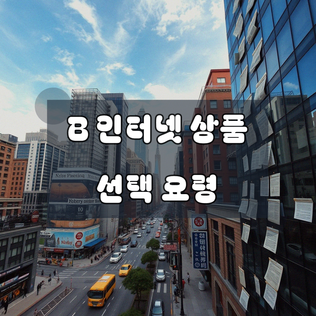 B 인터넷 상품, 제대로 골라 쓰기