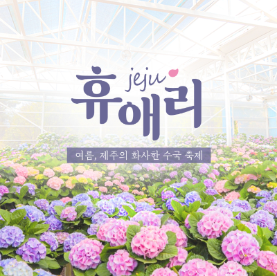 휴애리 수국 축제 할인 정보