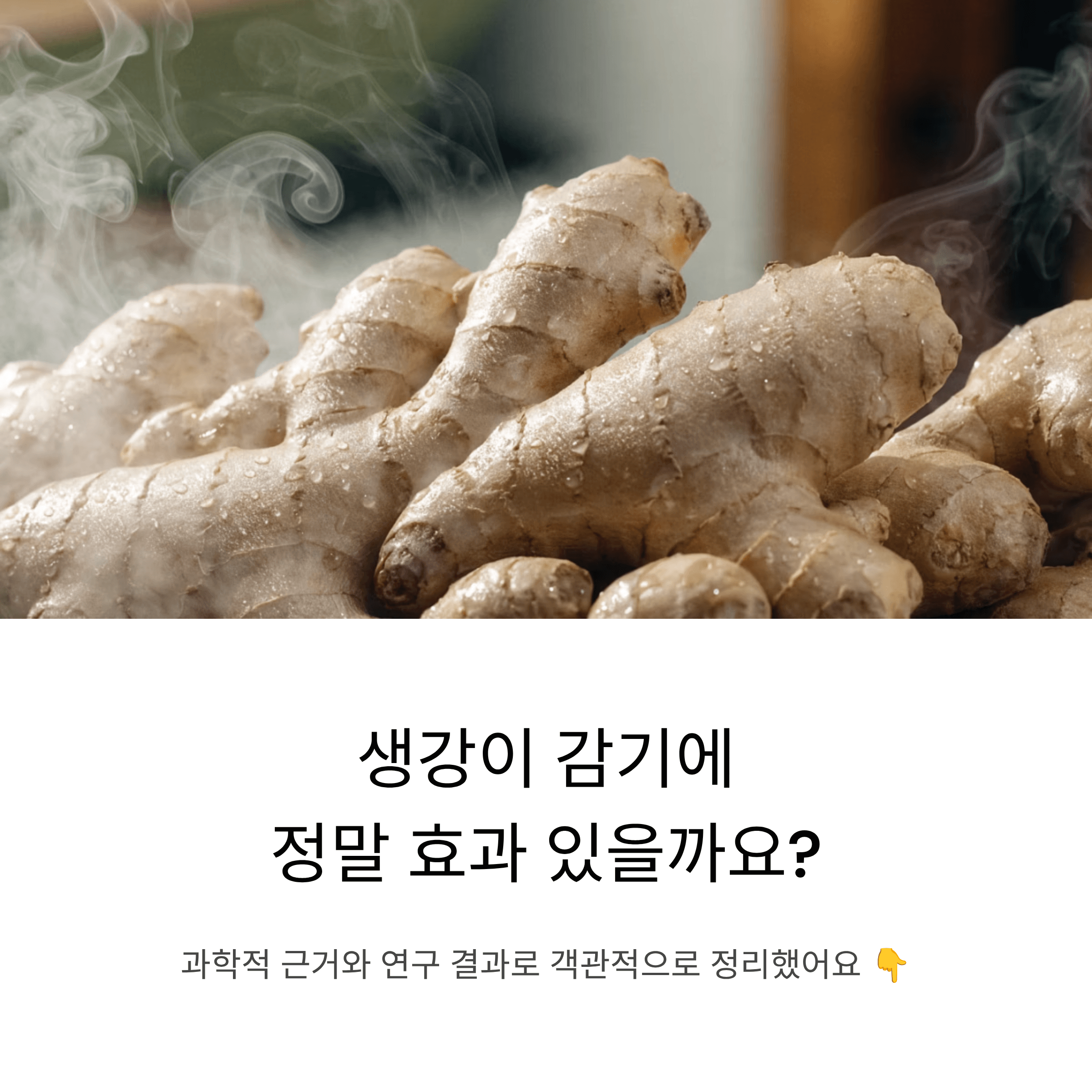 생강의 감기 효능에 대한 과학적 근거와 연구 결과를 객관적으로 정리한 완벽 가이드
