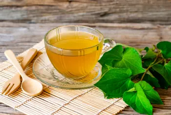 어성초 효능 효과 및 영양성분&amp;#44; 부작용