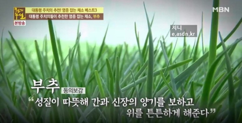 부추 효능 12가지와 부작용 총정리...음식건강이야기 열여섯번째