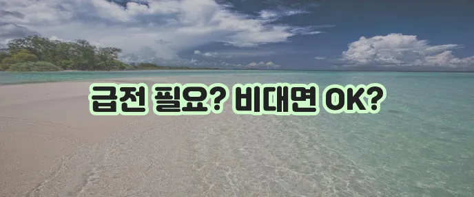 당일 무방문 대출로 소액 융통 받기