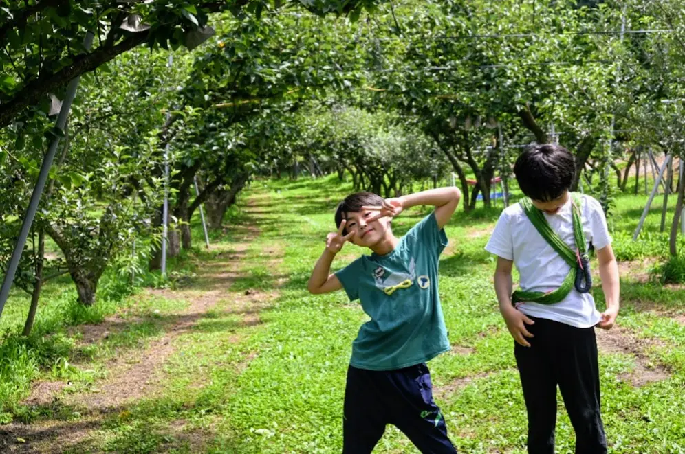 용인 숲속의아침캠핑장 후기 사진 15