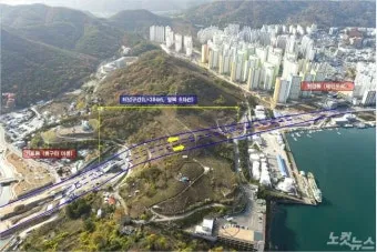 마산 해안도로 5월의 꽃 다정큼나무 산딸나무 해당화_2