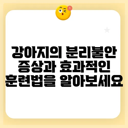 강아지의 분리불안 증상과 효과적인 훈련법을 알아보세요