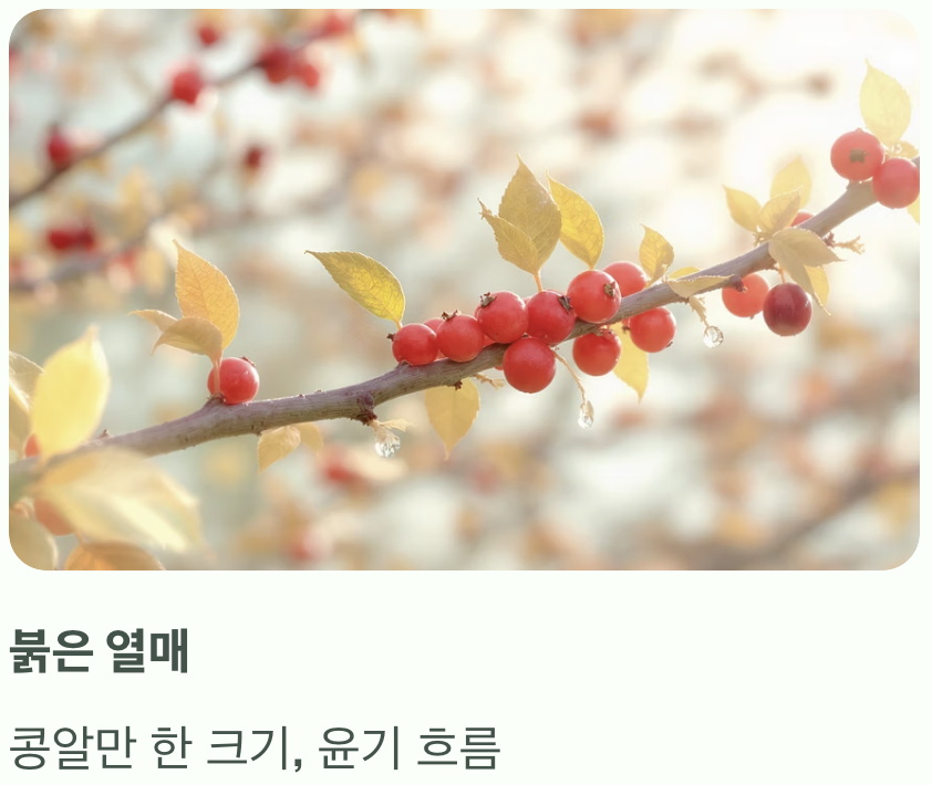 가을 하늘 아래 보석 같은 열매