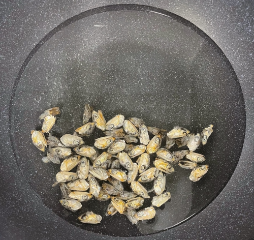 멸치대가리육수