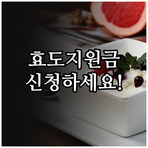 2025 강북구 효도지원금: 어르신 ..