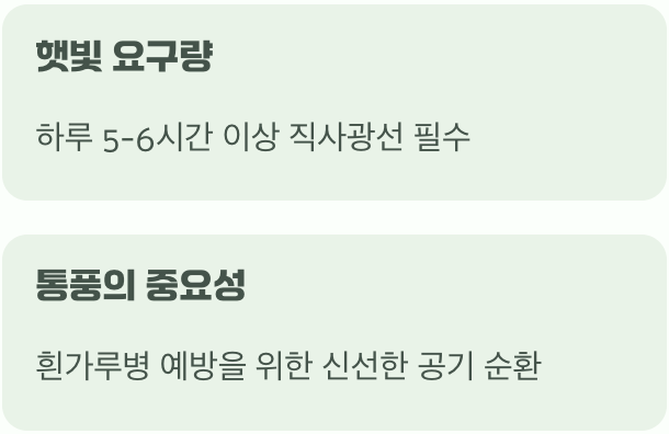 최고의 명당, 햇빛과 바람