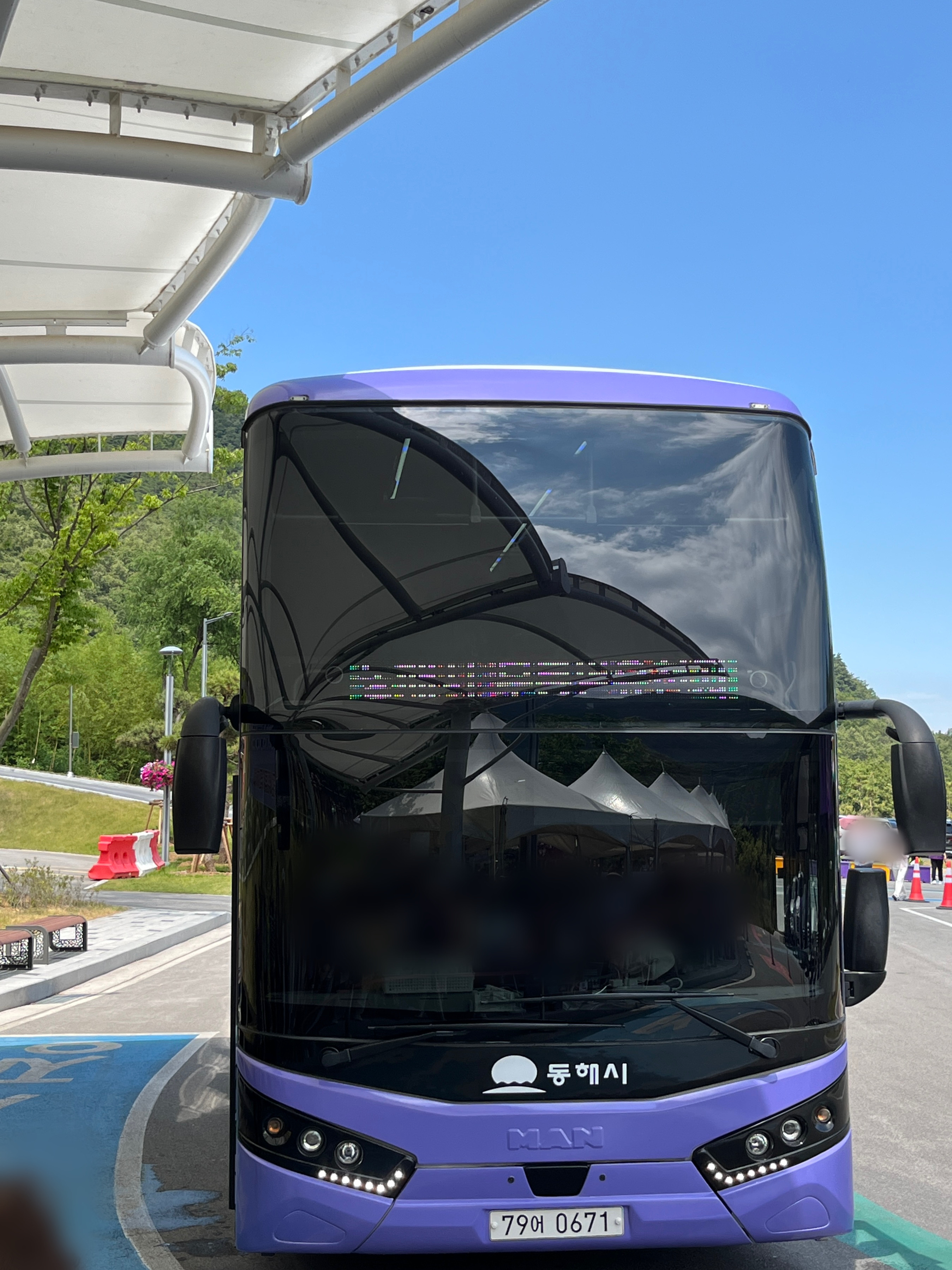 무릉별유천지 라벤더