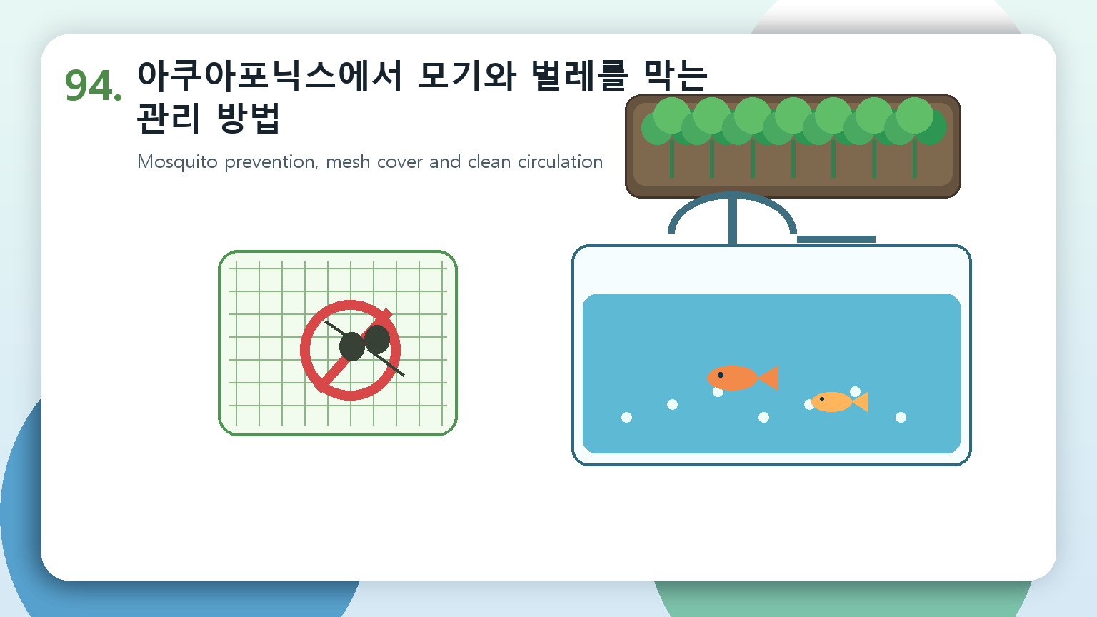 아쿠아포닉스에서 모기와 벌레를 막는 관리 방법