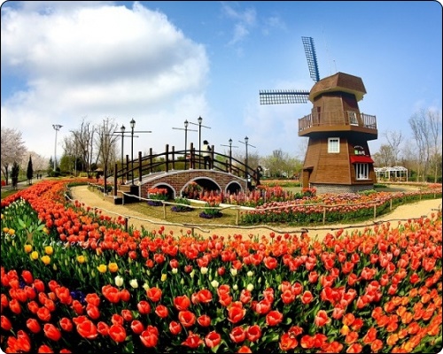 순천 정원박람회 입장료