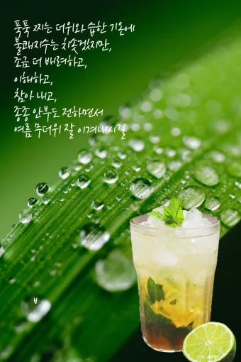 여름 인사말 예시 모음 이모티콘_4