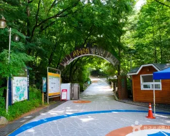 서울대공원 캠핑장_1