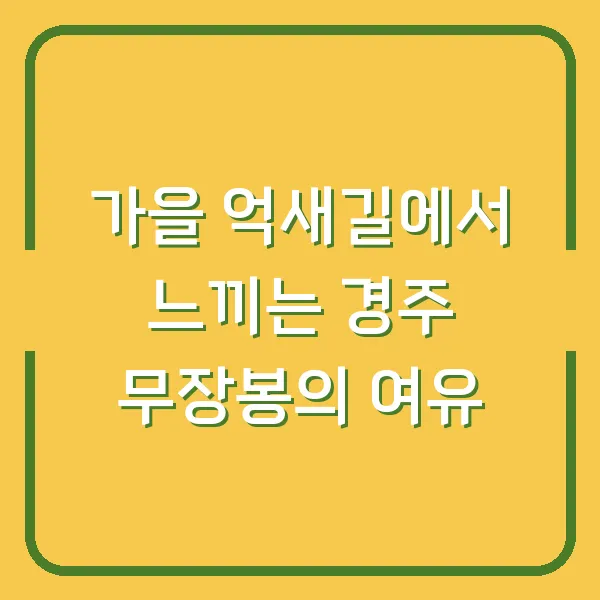 가을 억새길에서 느끼는 경주 무장봉의 여유