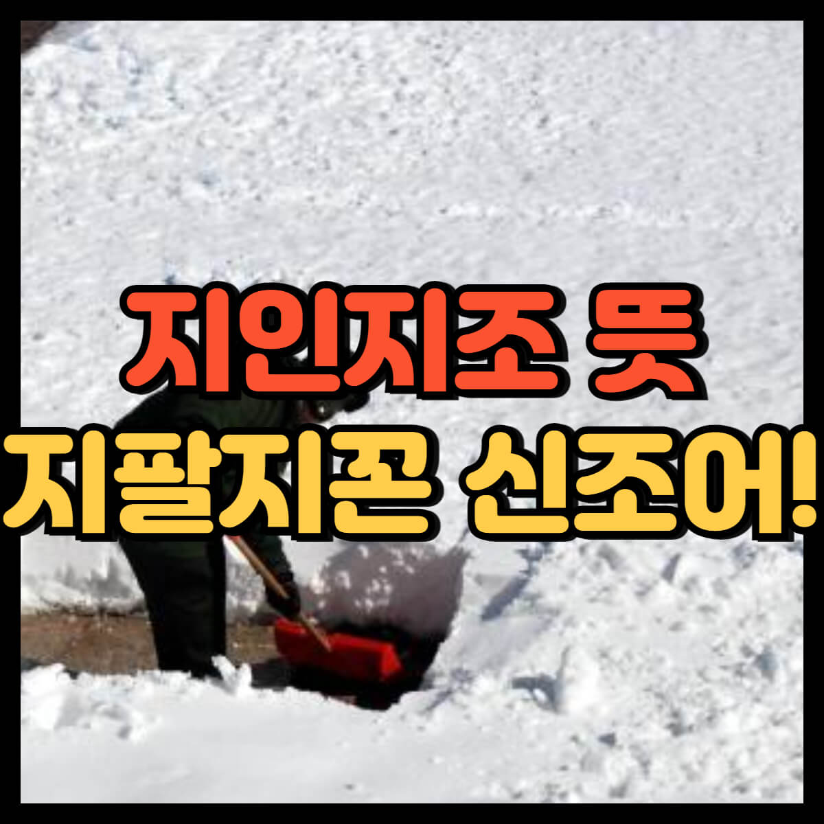 지인지조