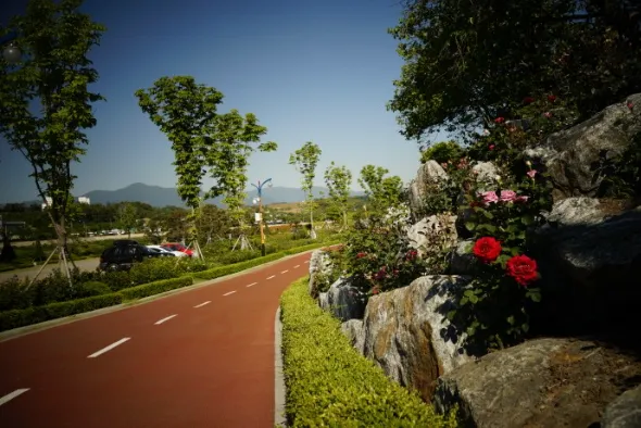 삼척장미축제 삼척장미공원