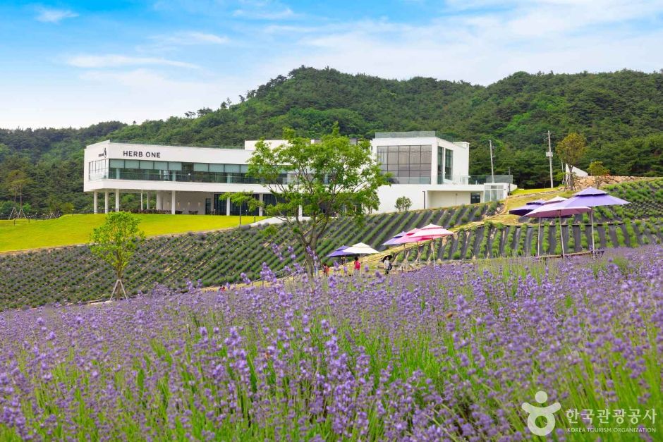 전북 정읍 허브원