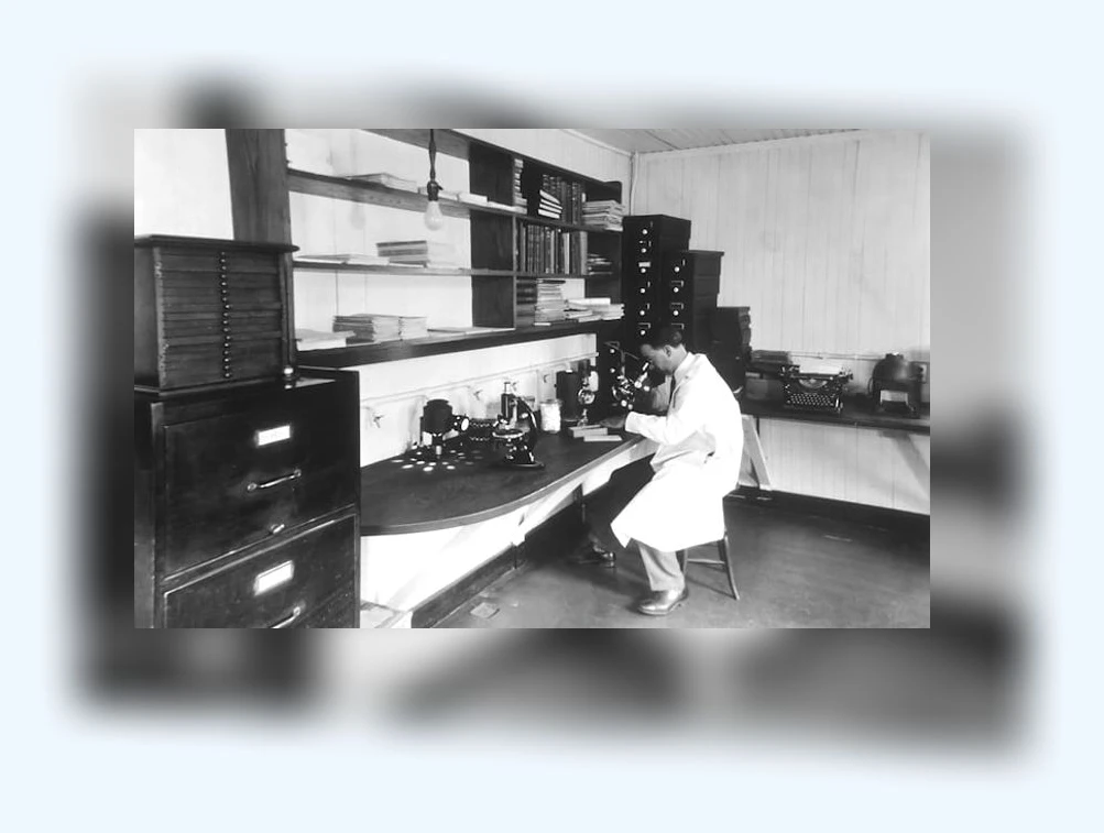 유방암 예방_3_subsection