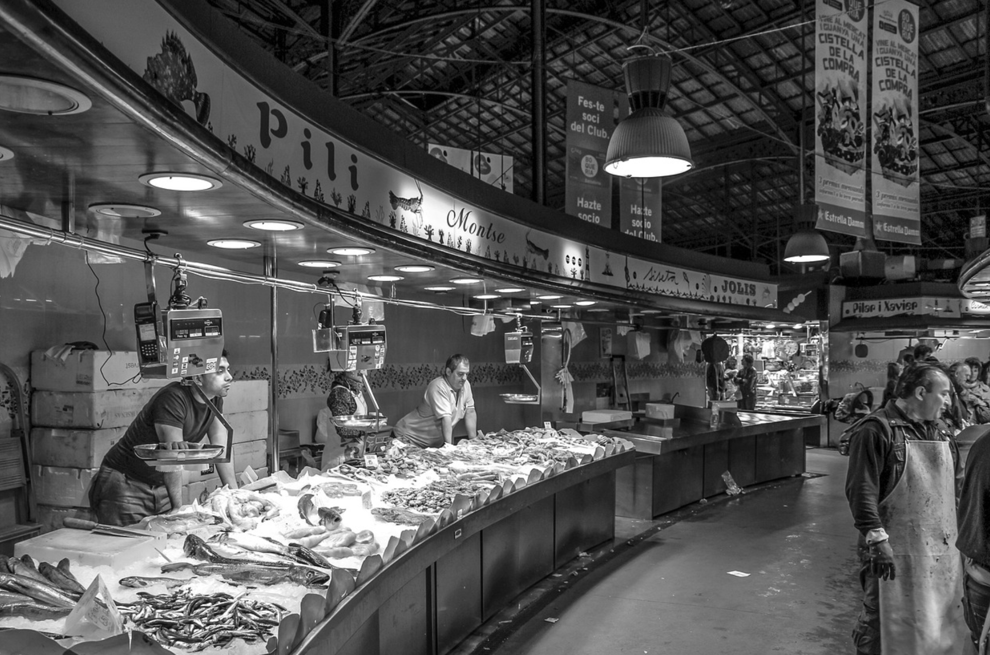 신선한 생선 고르는 방법