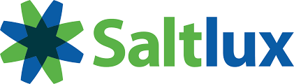 솔트룩스_로고