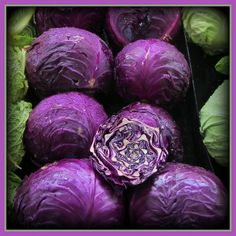 신장에 좋은 음식 만성 신장 통증 증상 질환 환자 좋은음식 나쁜 음식