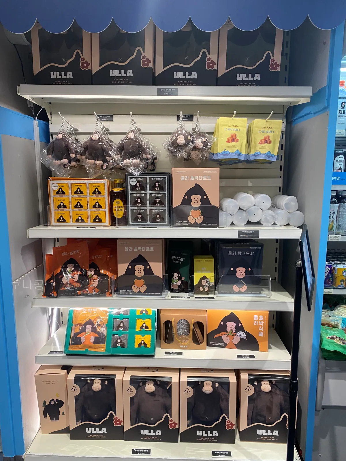 울릉썬플라워크루즈-3등실-좌석고민-이용후기-편의시설-정리