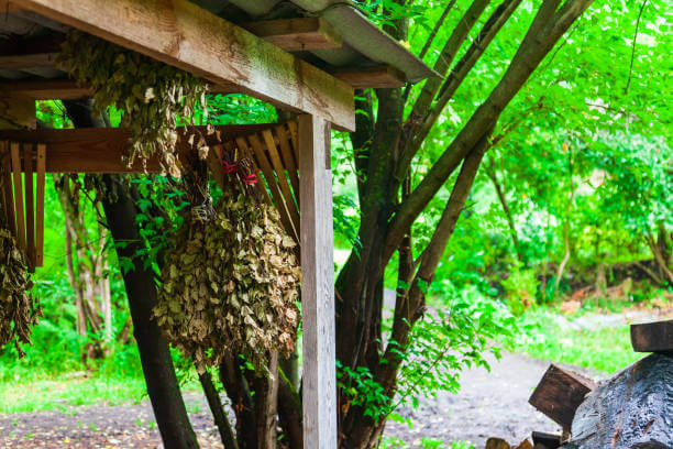 휴대용 야외 샤워 & 수분 공급 디자인, 축열물통 응용법
