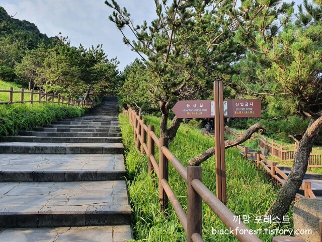 성산일출봉 올라가는길