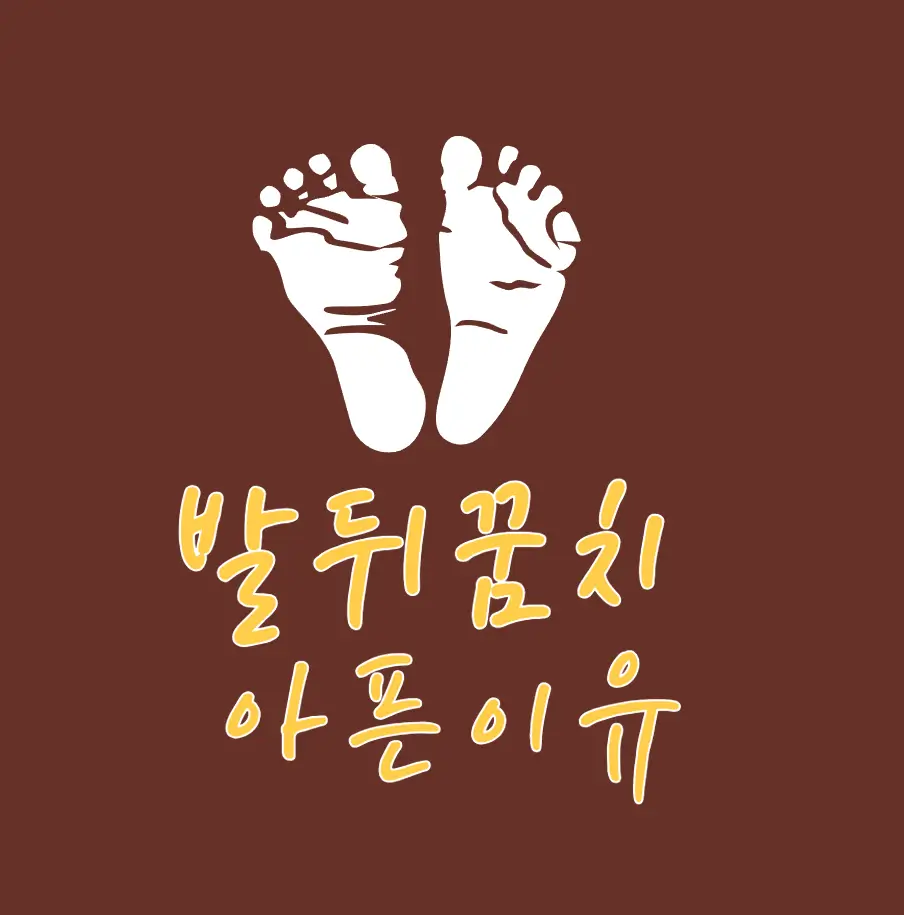 발뒤꿈치가 아픈이유