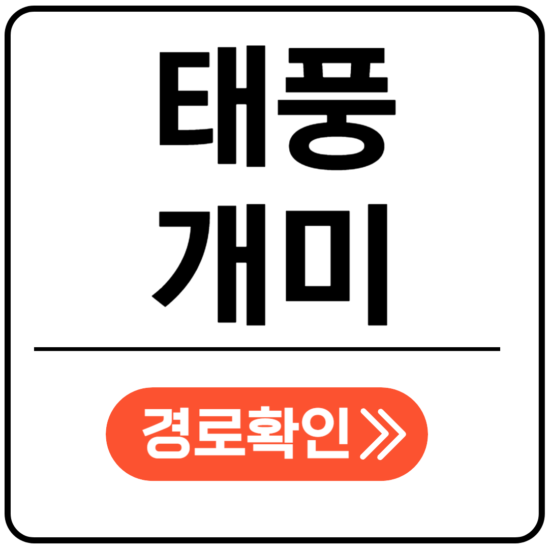 태풍 개미 북상 정보