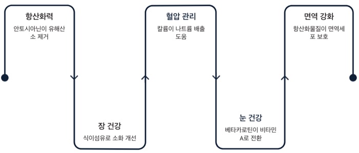 자색 고구마 혈압관리