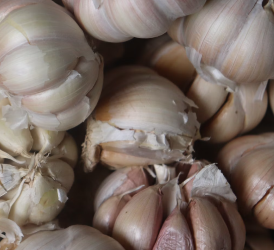 마늘 효능 효과 부작용 당뇨 혈관 건강