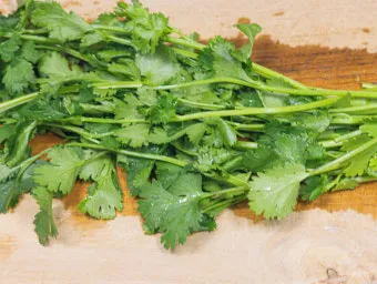 고수 나물 요리 재배 먹는법 무침 김치 만드는 법_4